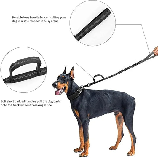 Collar Táctico Ajustable para Perros con Hebilla Metálica