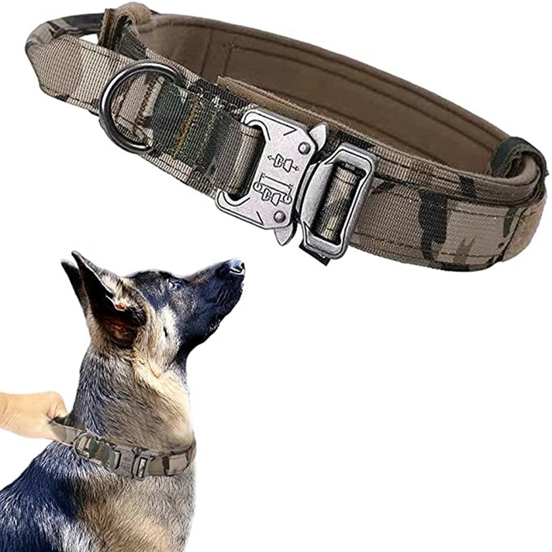 Collar Táctico Ajustable para Perros con Hebilla Metálica