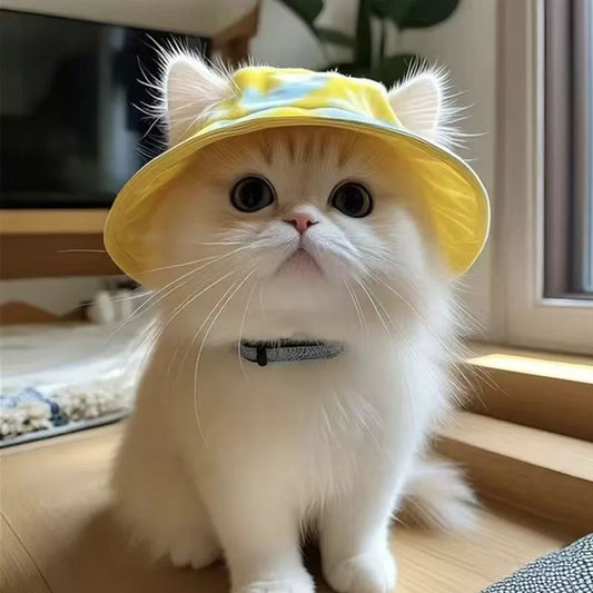 Sombrero de Pescador para Gatos y Mascotas - pets