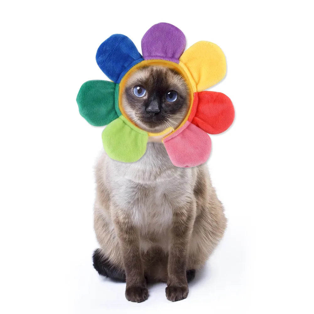 Gorro para Gato Divertido - Plush para Fotos
