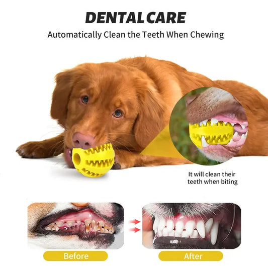 Pelota Interactiva para Mascotas de Goma Limpieza Dental
