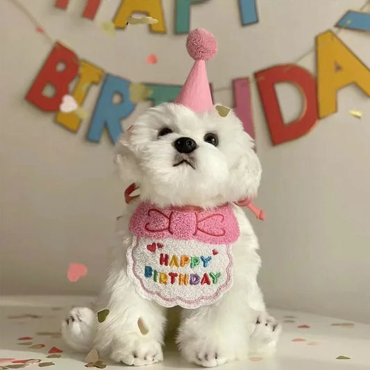 Set de Cumpleaños para Mascotas con Sombrero y Pañuelo