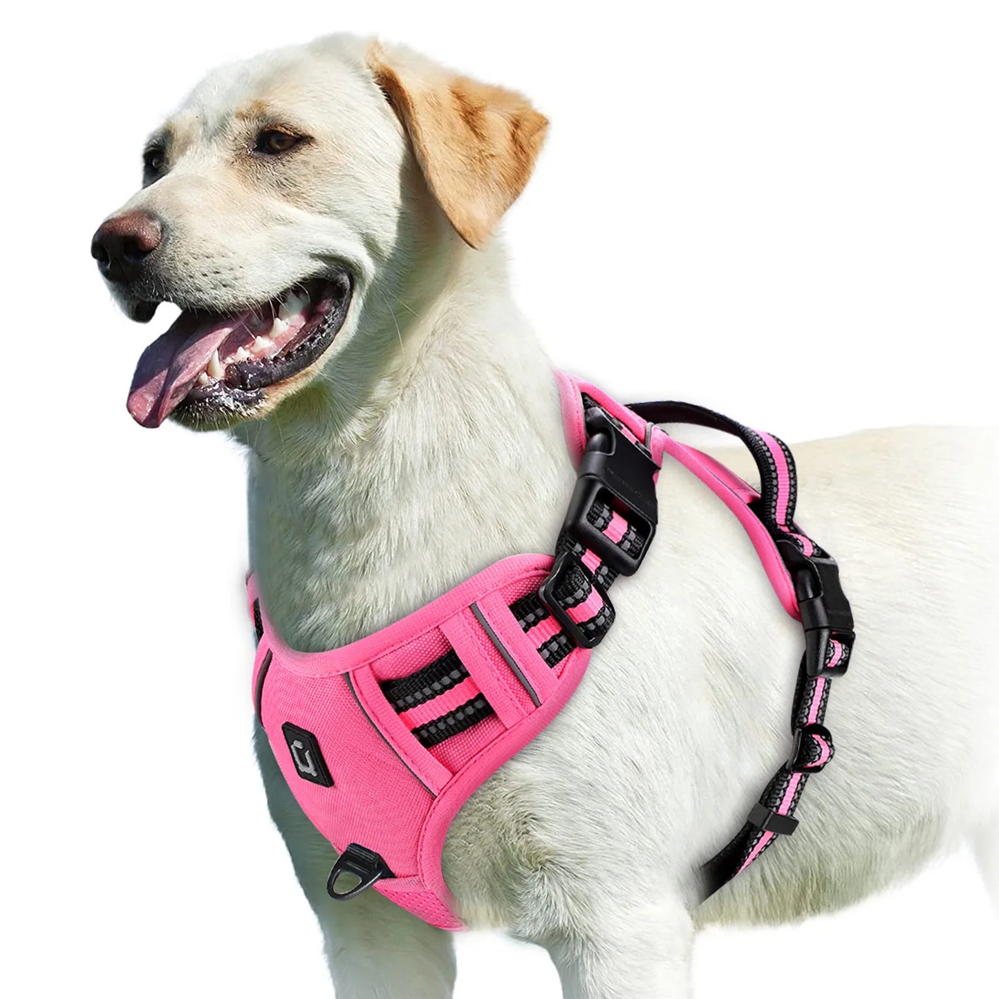 Arnés para Perro Antitirones – Ajustable, Acolchado y Reflectante