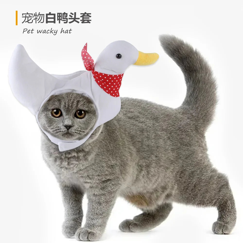 Gorro para Gato Divertido - Plush para Fotos