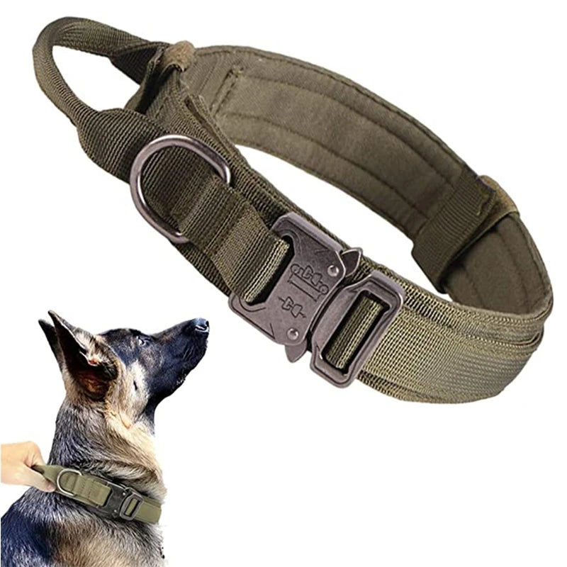 Collar Táctico Ajustable para Perros con Hebilla Metálica