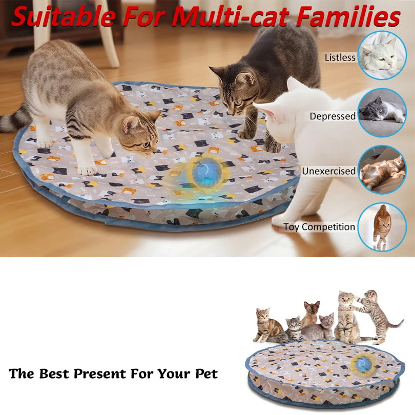 Interactive Cat Toy – Hidden Ball Hunting Mat