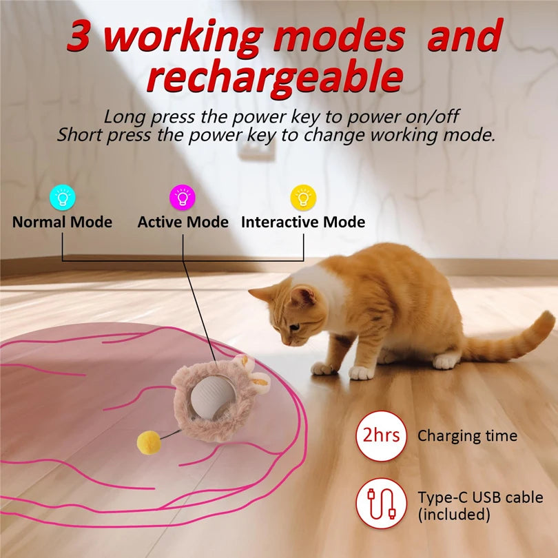 Interactive Cat Toy – Hidden Ball Hunting Mat