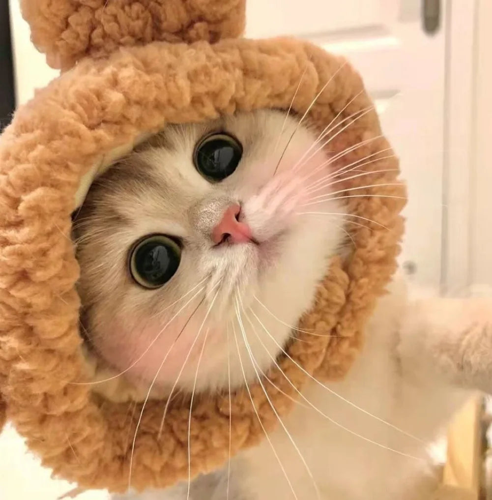 Gorro para Gato Divertido - Plush para Fotos