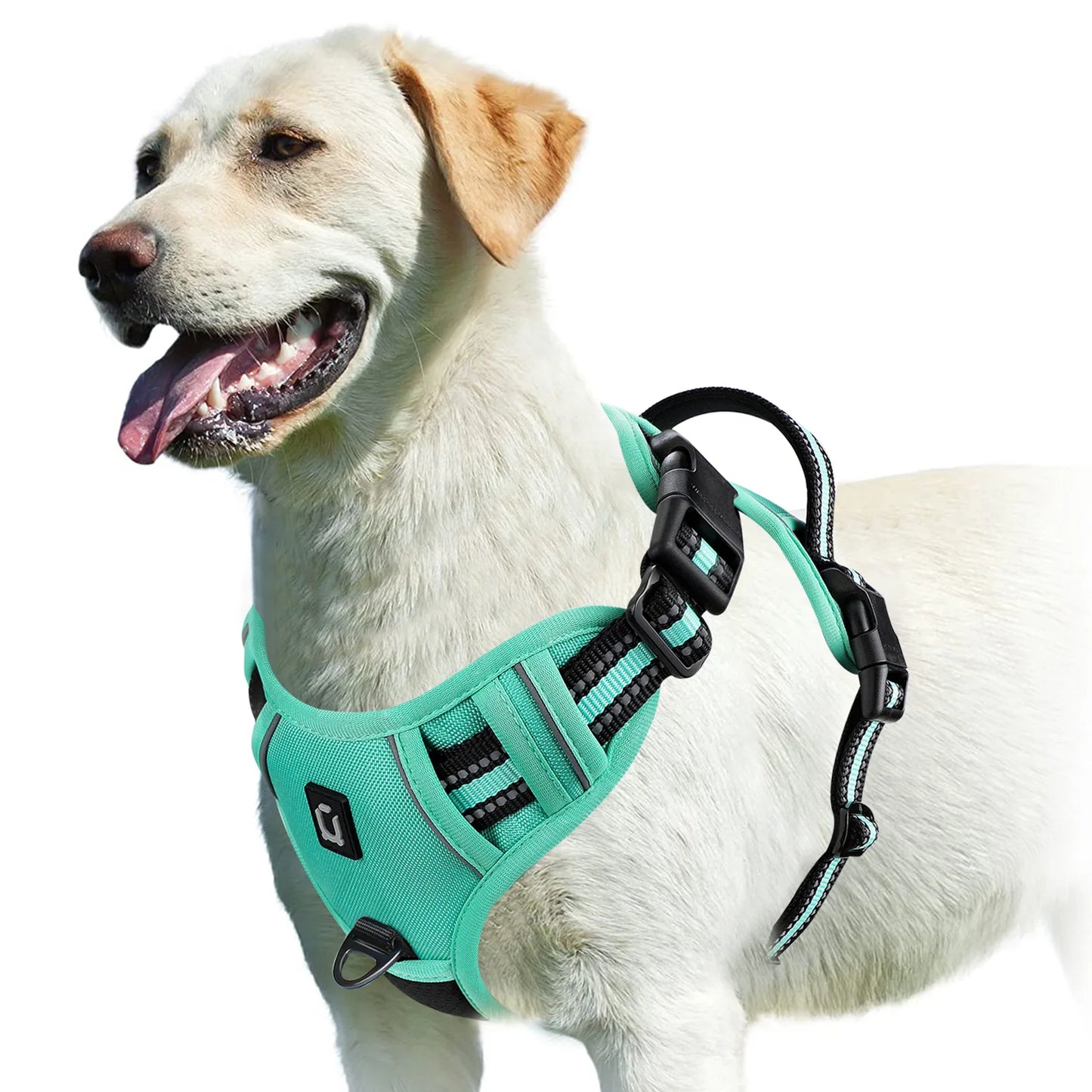 Arnés para Perro Antitirones – Ajustable, Acolchado y Reflectante
