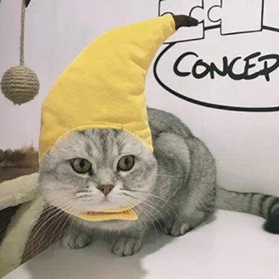 Gorro para Gato Divertido - Plush para Fotos
