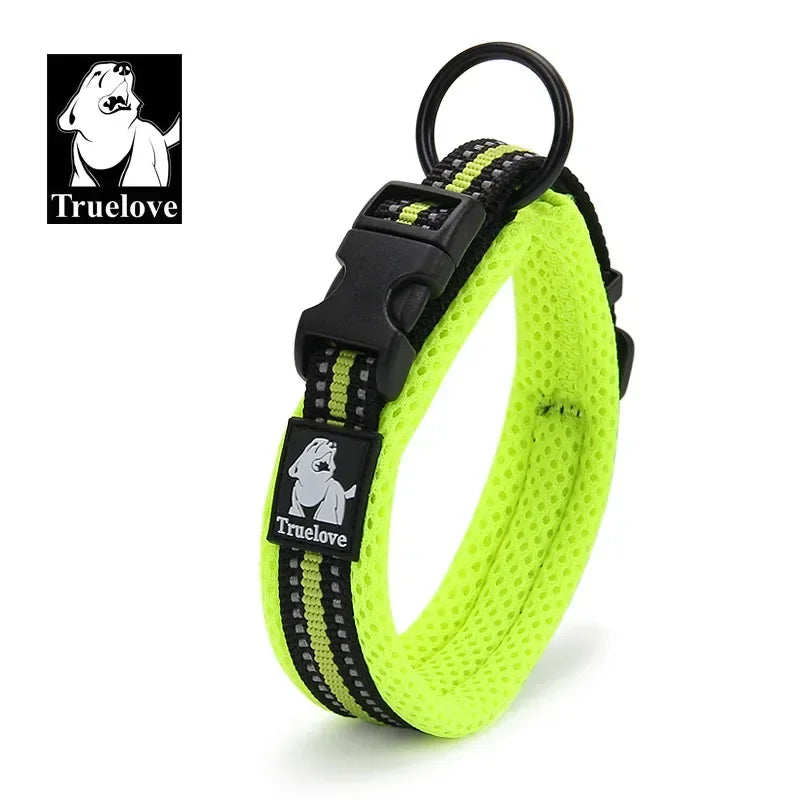 Collar para Perro Ajustable Acolchado con Diseño Reflectante
