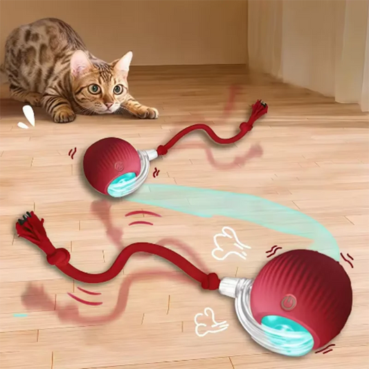 Pelota Interactiva Inteligente para Gatos
