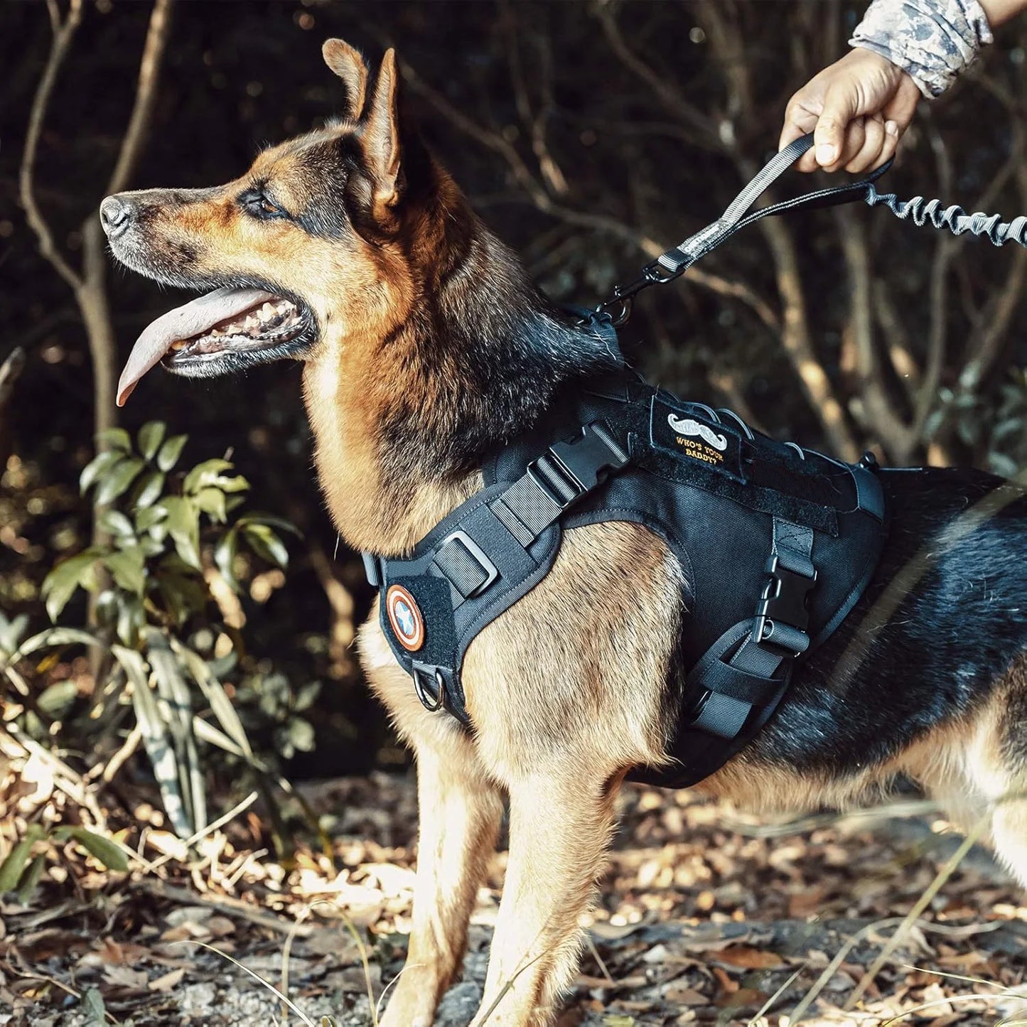 Arnés Táctico para Perro Antitirones Ajustable con Asa - Asa de Control