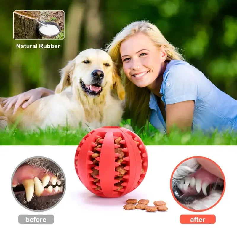Pelota Interactiva para Mascotas de Goma Limpieza Dental