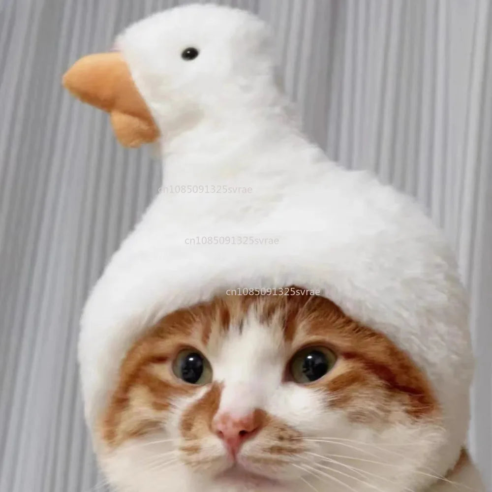 Gorro para Gato Divertido - Plush para Fotos