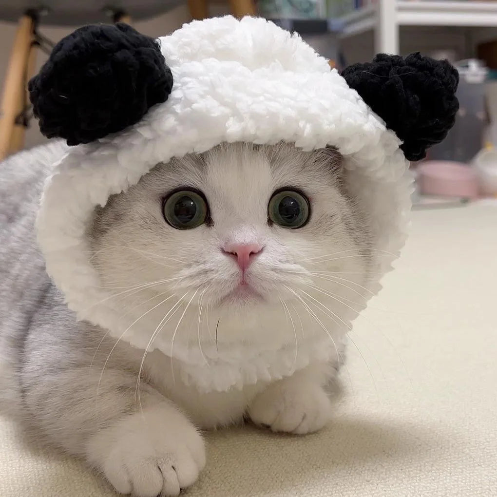 Gorro para Gato Divertido - Plush para Fotos