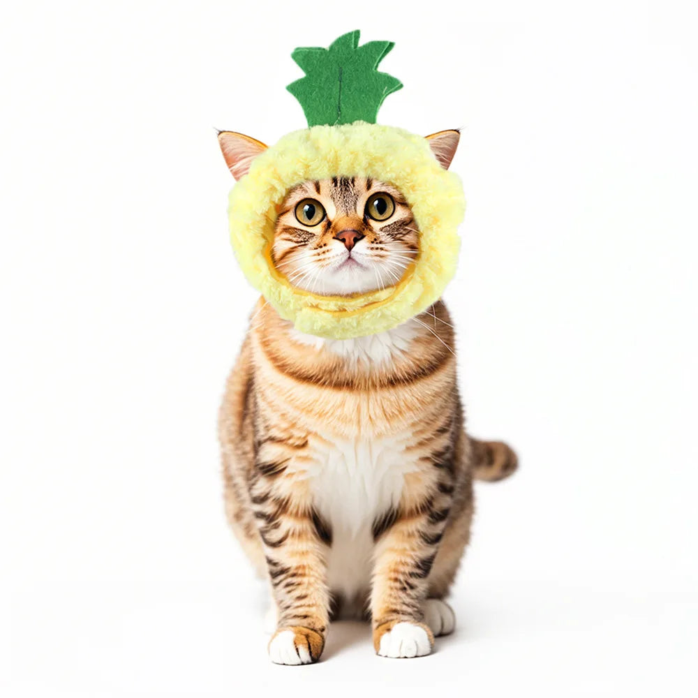 Gorro para Gato Divertido - Plush para Fotos