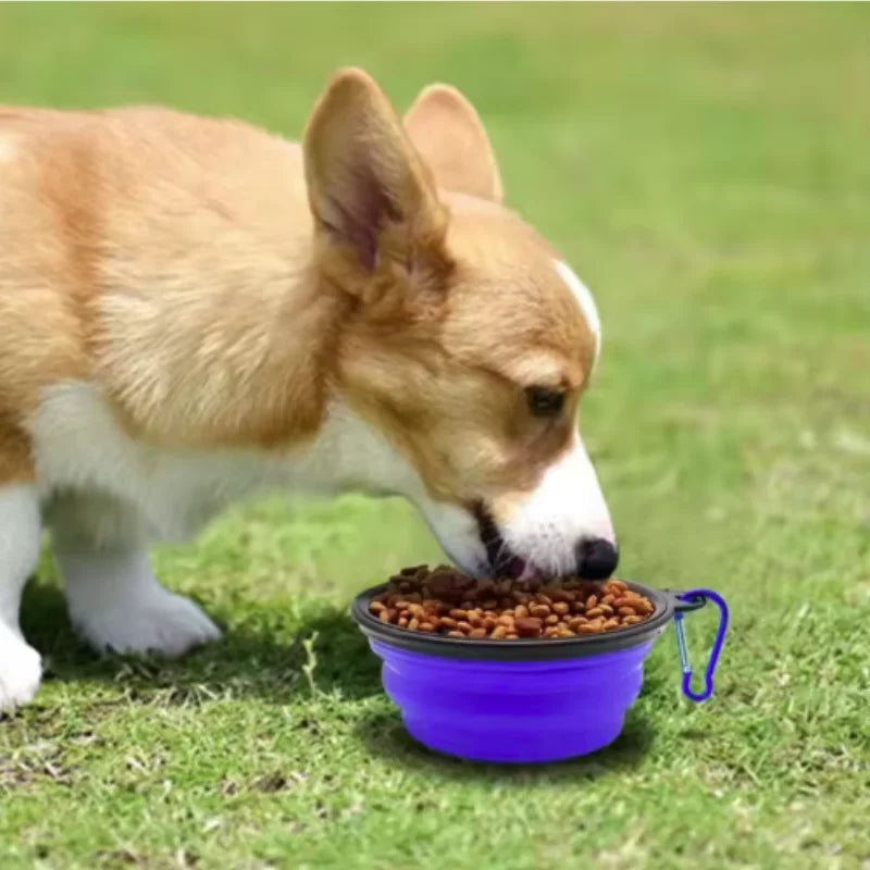 Tazón Plegable para Mascotas con Mosquetón