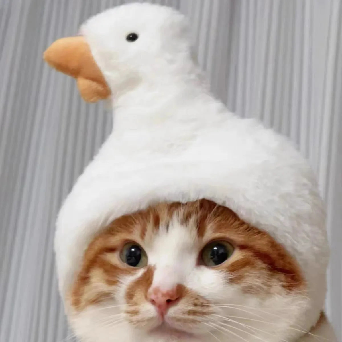 Gorro para Gato Divertido - Plush para Fotos