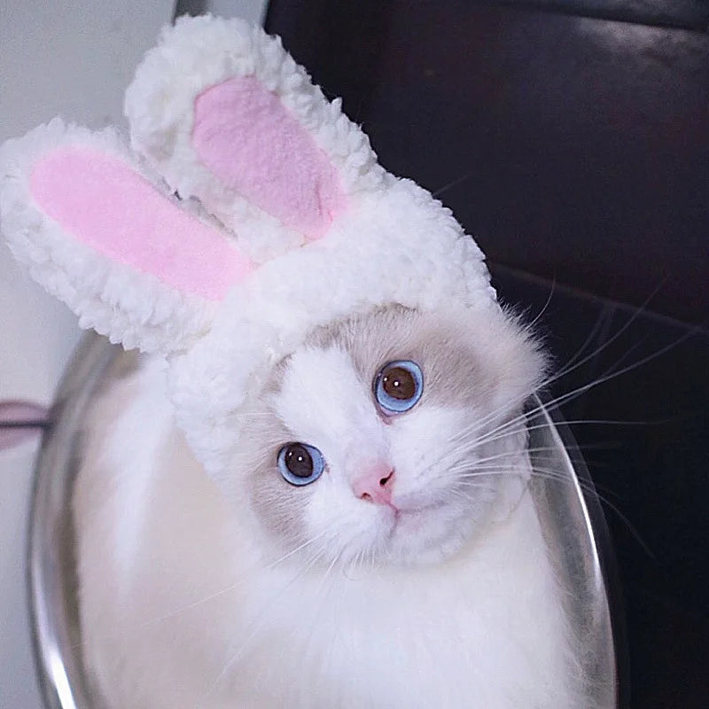 Gorro para Gato Divertido - Plush para Fotos