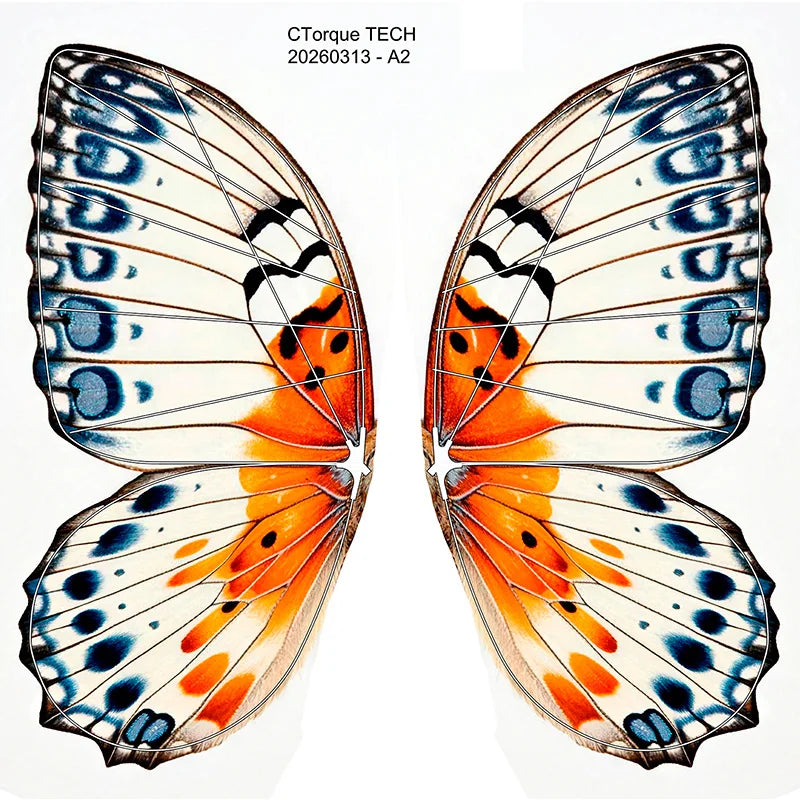 Mariposa Voladora RC LED – Efecto Realista