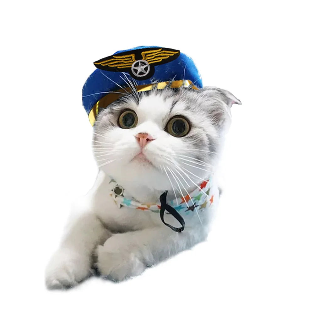 Gorro para Gato Divertido - Plush para Fotos