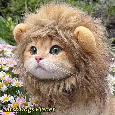 Gorro para Gato Divertido - Plush para Fotos