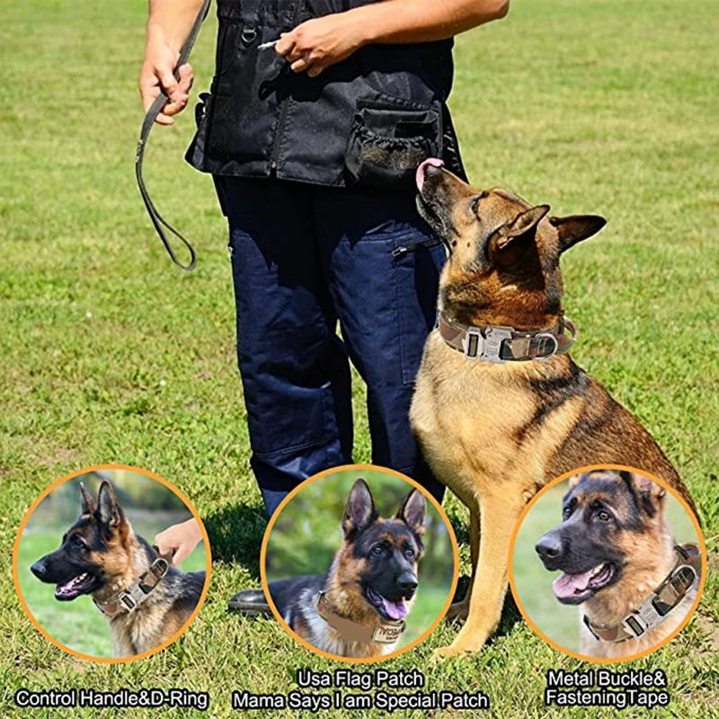 Collar Táctico Ajustable para Perros con Hebilla Metálica