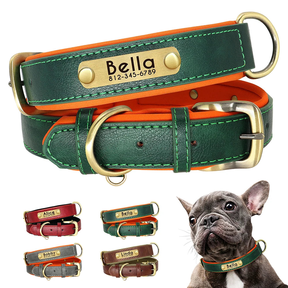 Collar Personalizado para Perro de Cuero PU con Placa Grabada