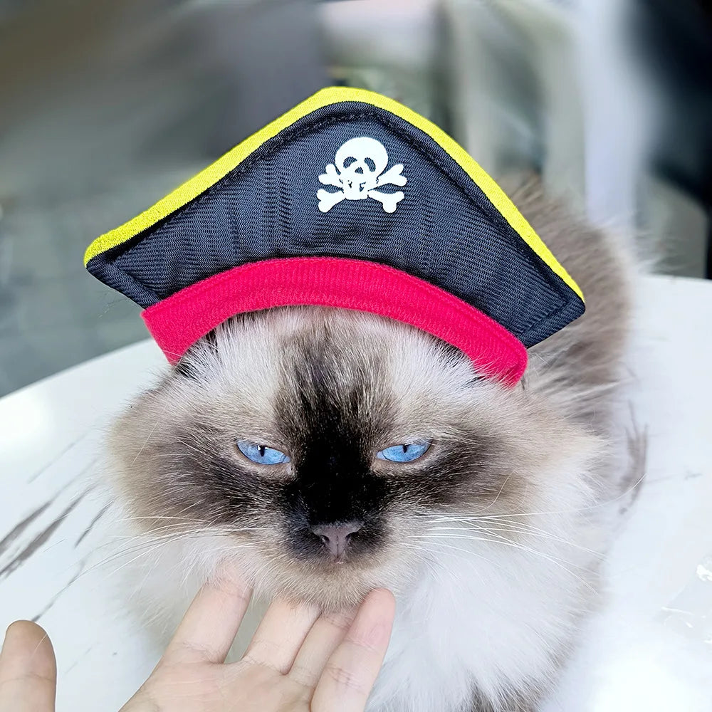 Gorro para Gato Divertido - Plush para Fotos