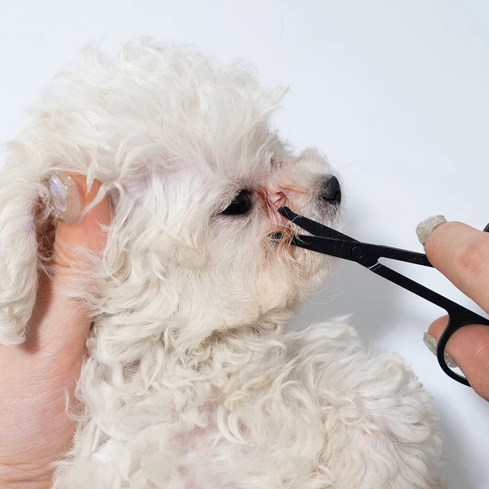 Peine y Tijeras de Limpieza Facial para Mascotas