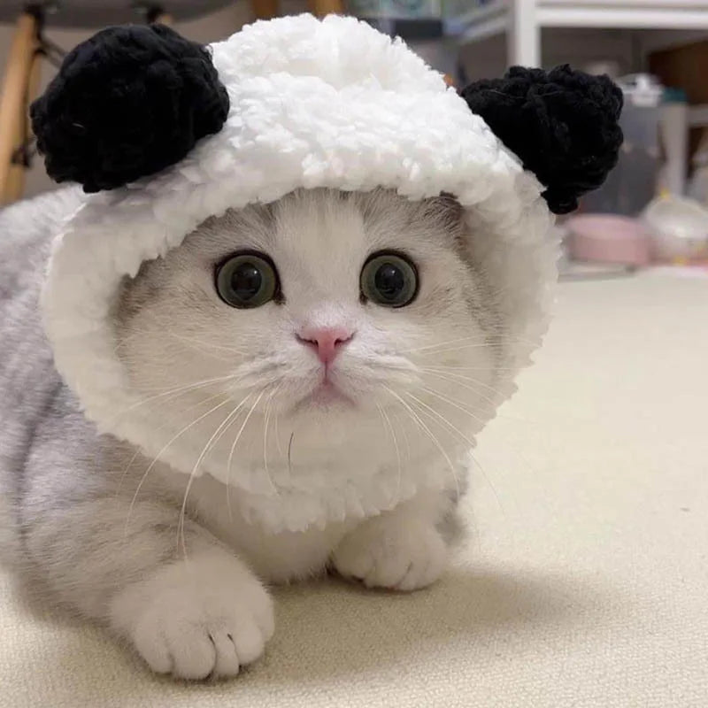 Gorro de Conejo para Gatos y Perros Pequeños - pets