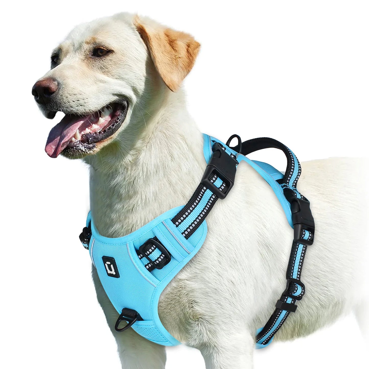Arnés para Perro Antitirones – Ajustable, Acolchado y Reflectante