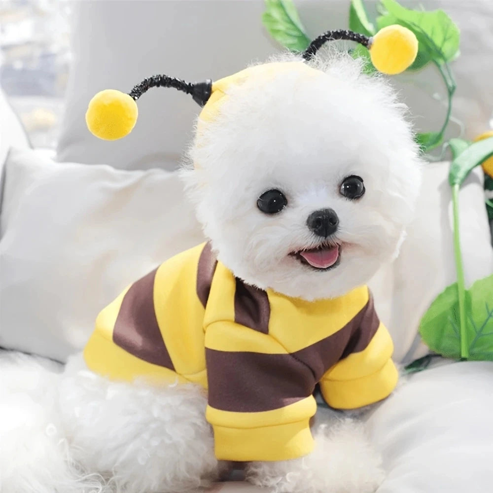 Abrigo de Abeja para Perros y Gatos con Capucha