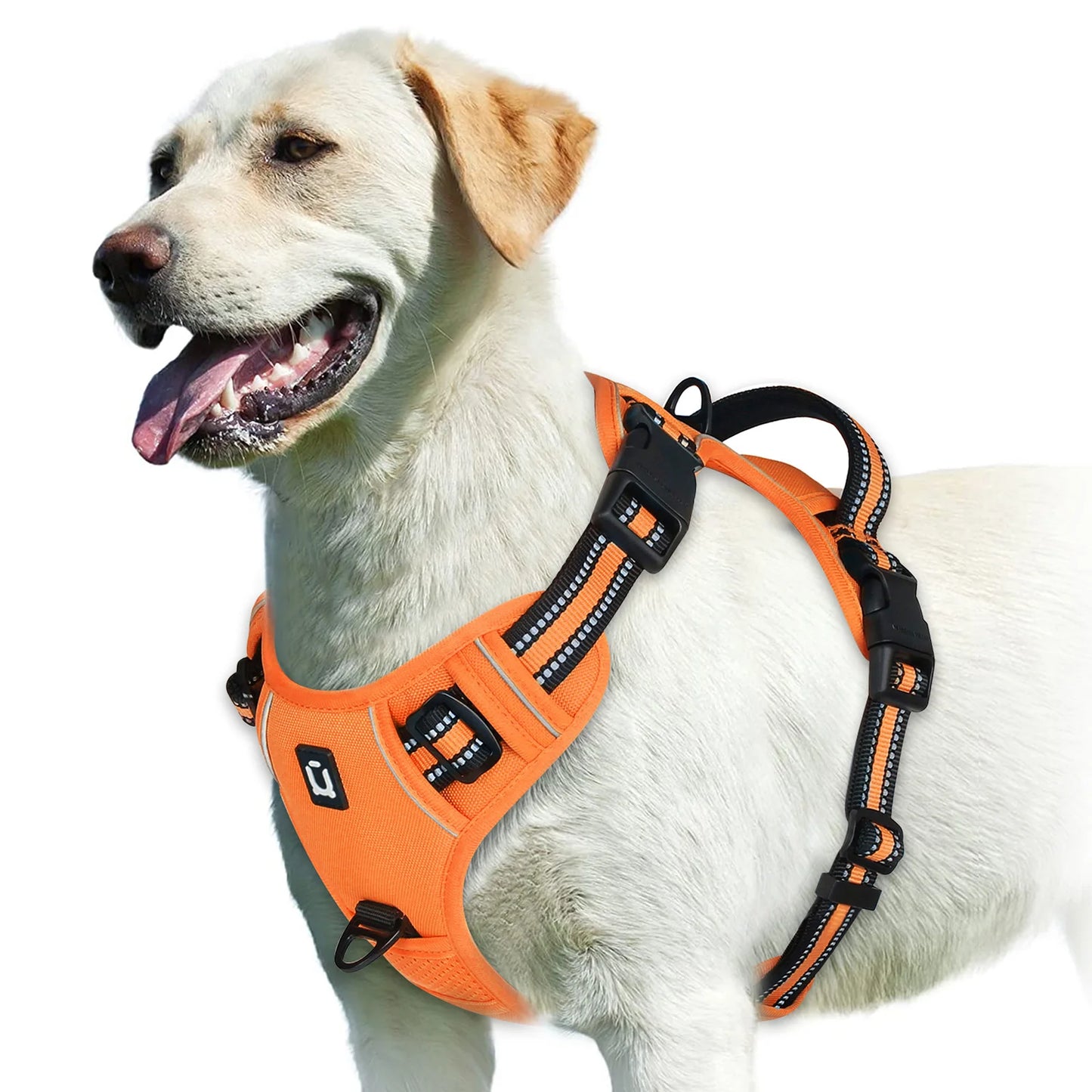 Arnés para Perro Antitirones – Ajustable, Acolchado y Reflectante