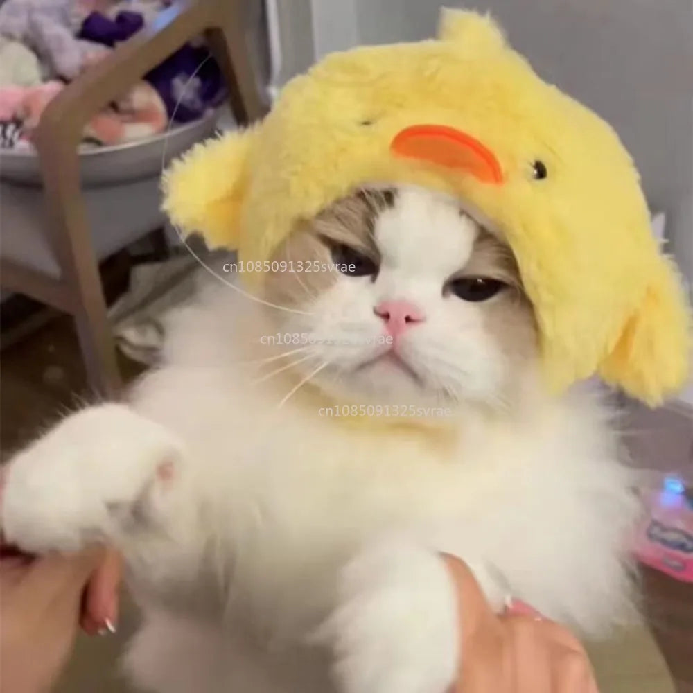 Gorro para Gato Divertido - Plush para Fotos