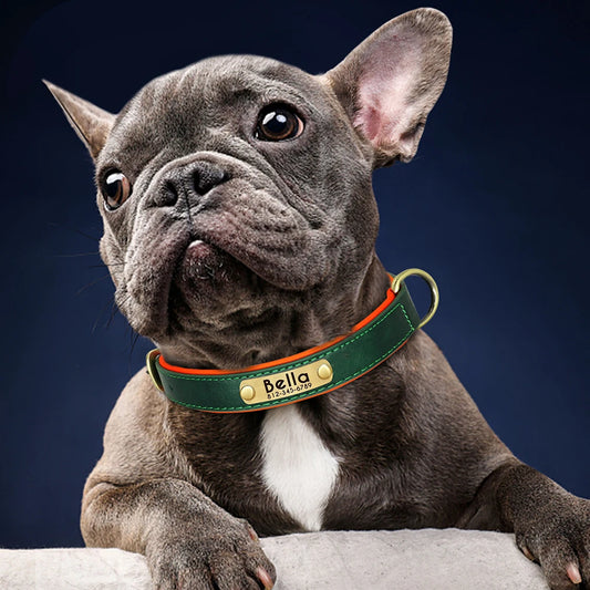 Collar Personalizado para Perro de Cuero PU con Placa Grabada
