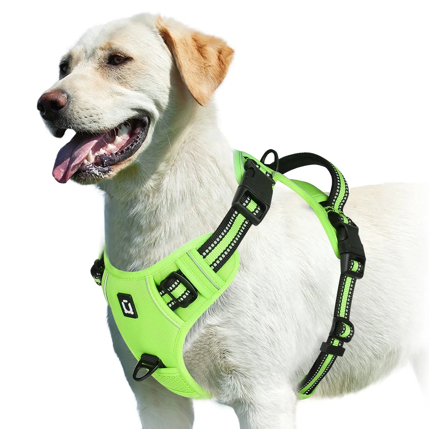 Arnés para Perro Antitirones – Ajustable, Acolchado y Reflectante