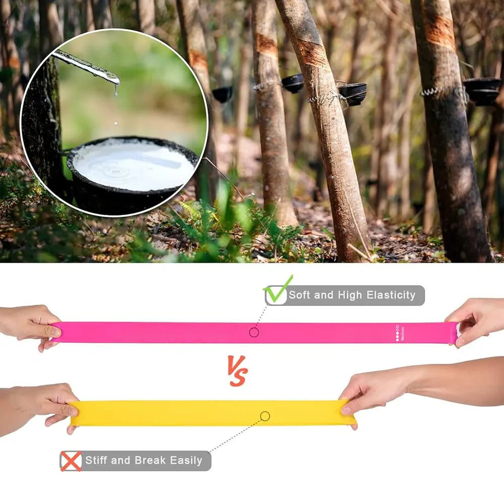 Bandas de Resistencia para Ejercicio (Set de 5) | Bandas Elásticas para Fitness y Entrenamiento