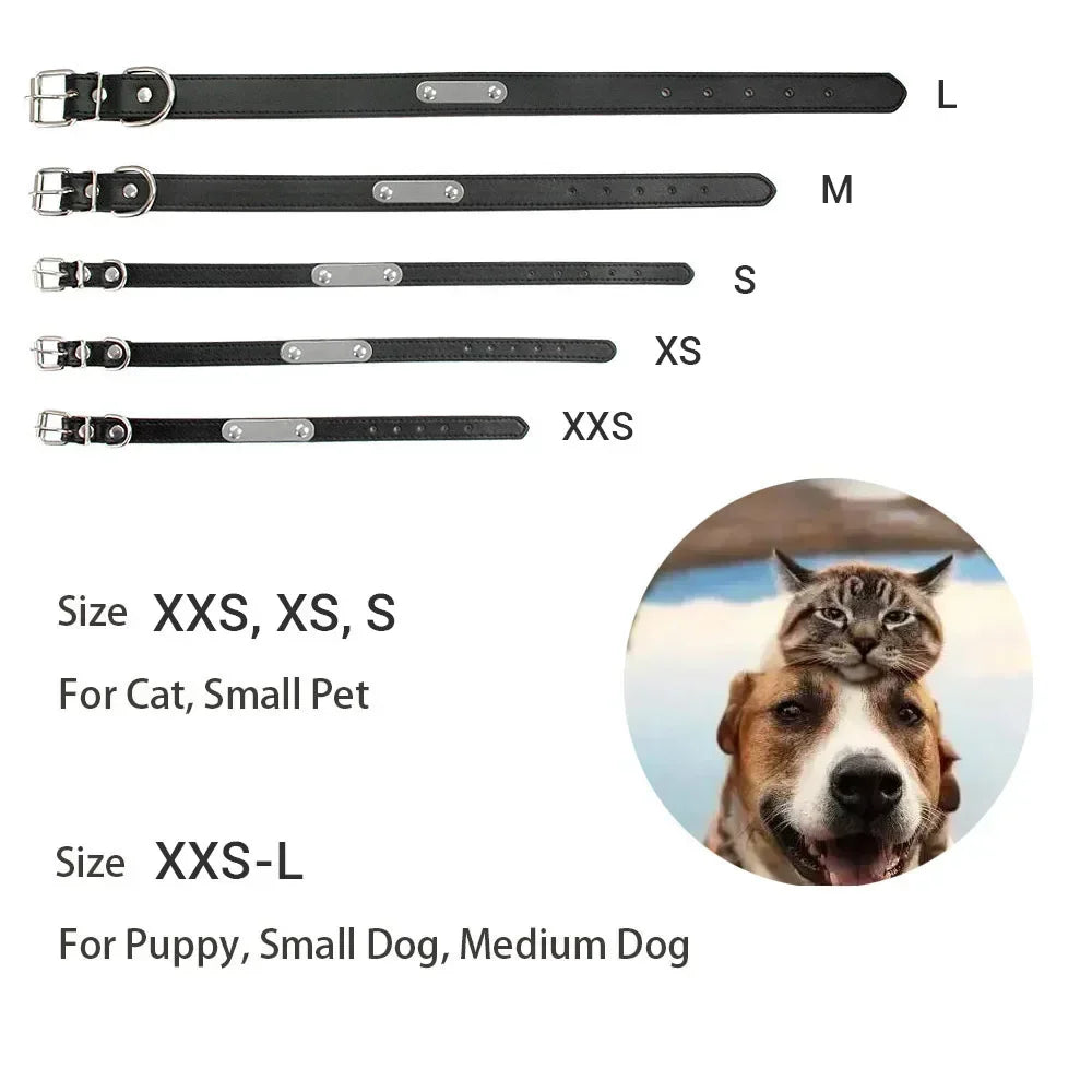 Collar Personalizado para Perro con Placa Grabada