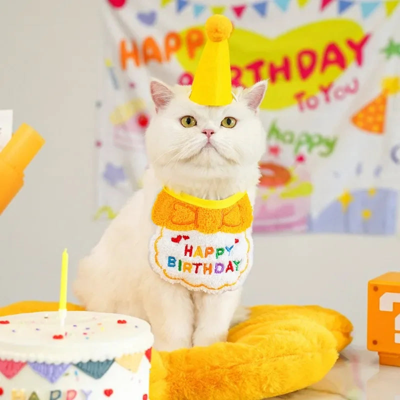 Set de Cumpleaños para Mascotas con Sombrero y Pañuelo