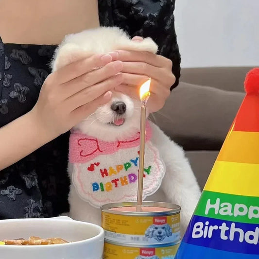 Set de Cumpleaños para Mascotas con Sombrero y Pañuelo