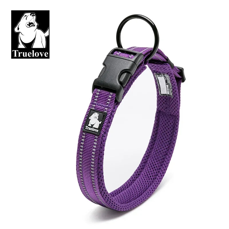 Collar para Perro Ajustable Acolchado con Diseño Reflectante