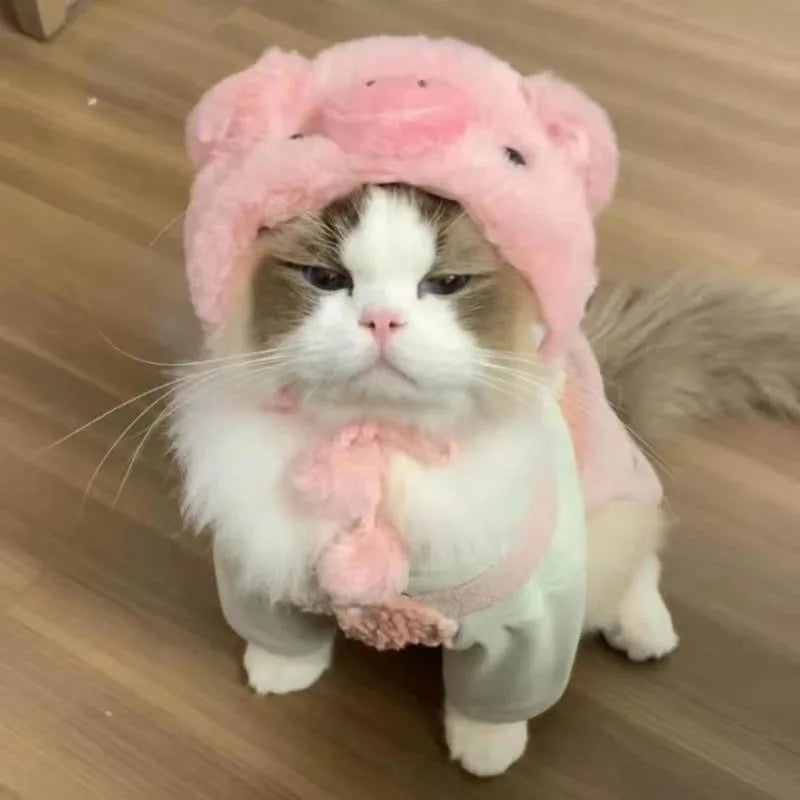 Gorro para Gato Divertido - Plush para Fotos