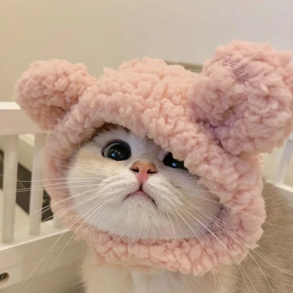 Gorro para Gato Divertido - Plush para Fotos