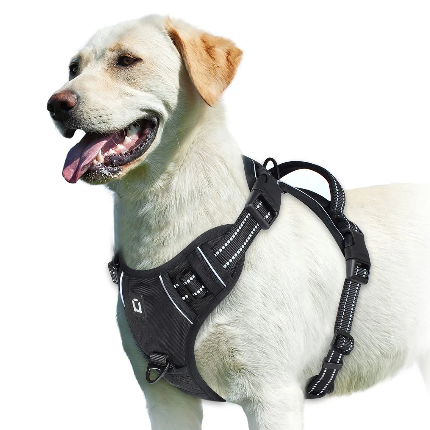 Arnés para Perro Antitirones – Ajustable, Acolchado y Reflectante