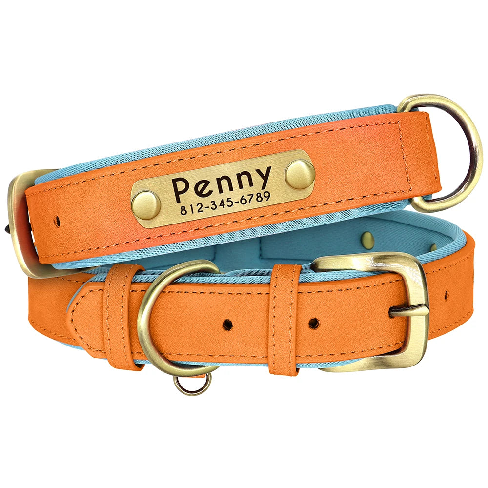 Collar Personalizado para Perro de Cuero PU con Placa Grabada