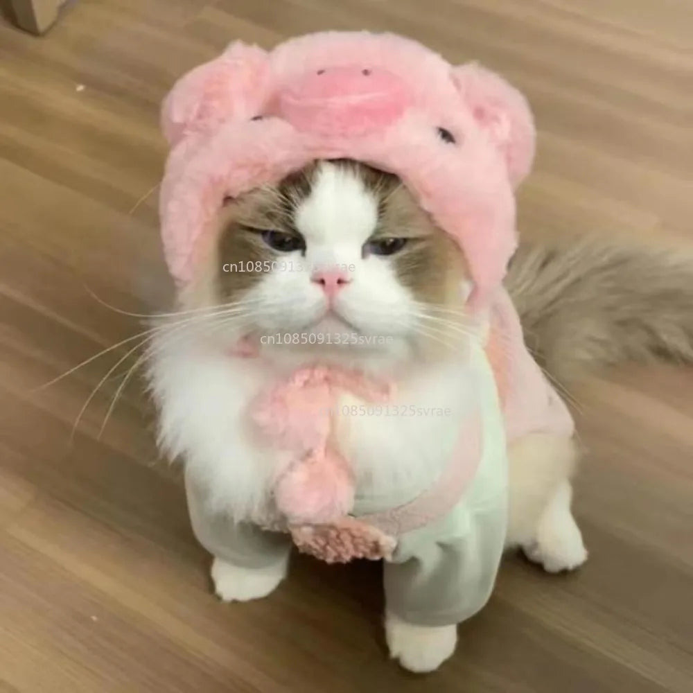 Gorro para Gato Divertido - Plush para Fotos