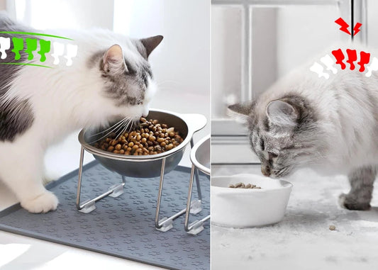 Comedero Elevado para Gatos Acero Inoxidable - Antiestrés para Bigotes
