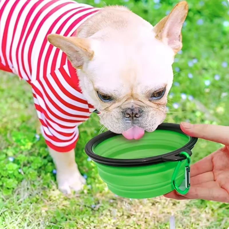 Tazón Plegable para Mascotas con Mosquetón